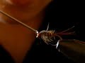 Tying a hare's ear nymph