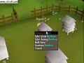 RuneScape - Money Guide Easyest Way Ever RuneScape - Money Guide Easyest Way Ever