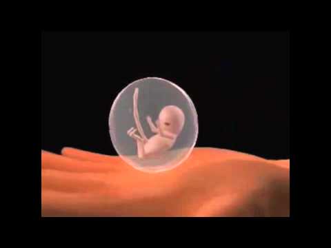 how to bleed during pregnancy