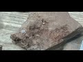 Herkimer Diamonds