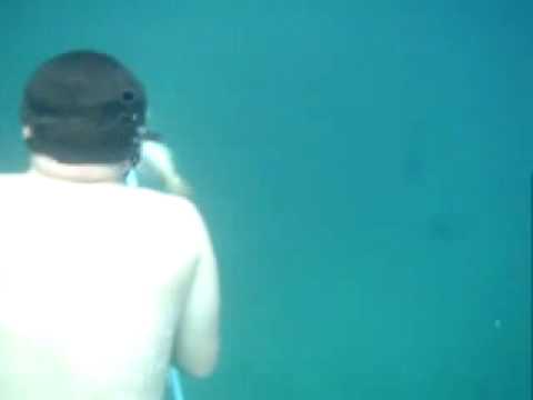 Pesca submarina en Japon