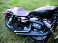 Nightster Northwest