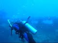Diving Yongala Diving Yongala