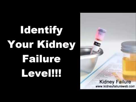 how to cure kidney infection