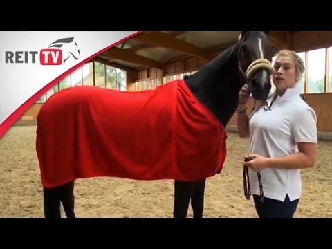 Ausrüstung: Pferdedecken - Worauf muss ich achten?