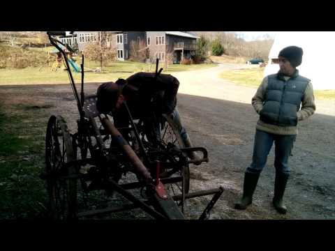 how to fertilize rutabaga