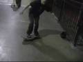 Skatelab sesion #1,000,000