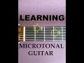 Introduction to Microtonal Guitar with Added Frets