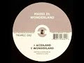 Massi DL - Acidland Massi DL - Acidland