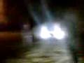 videos de Pijita colgando del arbol!!