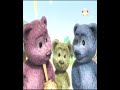 Song Bears