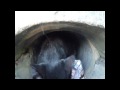 Story of two community cats whose lives are intertwined in an industrial car park - Houdini and All-Black