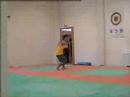 taekwondo demonstrations kicks