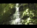 Downieville 06-04-2007