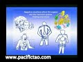 Mantak Chia DVD Re-Programming Your Negative Emotions Clip 1