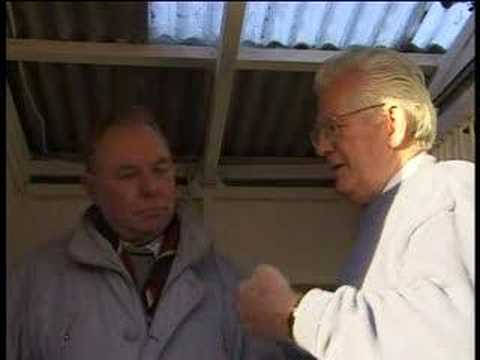 Sandy Bain racing pigeons Simply The Best 9