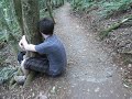 a walk through a lamington
