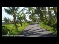 The Beauty Of Ubud Bali Village