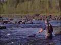 Fly Fishing Lapland River Simojoki