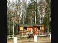 videos de Riding Whiskey