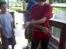 Couple of European guys stop by and show there stuff with yoyos at Gator Adventure Park