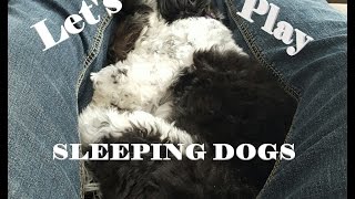 Let's Play - Sleeping Dogs
