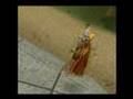 videos de Runescape high detail is there