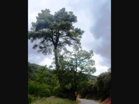 Lugares Para Visitar