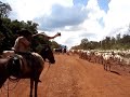 Comitiva Serrazul na  BR 163