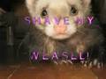 SHAVE MY WEASEL!