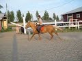 Click here to watch this video Napsu hyppää3