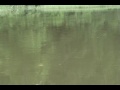 episode 7 - sam rayburn june 2007