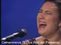 Encarna Anillo - Solea http://camaroneros.mforos.com