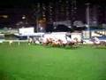 End of Horse Race on Hongkong Island