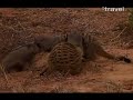 Szurik�ta filmecske
