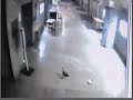 Chicken Prank at Northeast High School