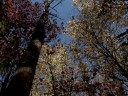 Autumn Autumn