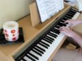 Johann Sebastian Bach - Prelude in G minor (BWV 929) [David Ruzicka]