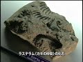 Bokura wa Kaseki Holder - Japanese Paleontologist Trailer
