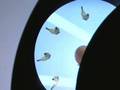 Just a Bit of Spin - Interactive installation