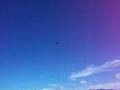 videos de Roll Motion with Landing Gear down F-15 Eagle / F-AIR COLOMBIA 2008