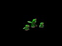 Spore FRog