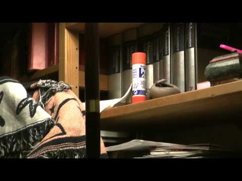Testing Panasonic FullHD HDC-HS300 - Cat and the light