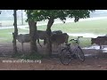 Shilpa sadan is situated some distance away from Santiniketan near Kolkata (Calcutta), West Bengal state of India. This video showcases the rain at Shilpa sadan.