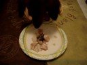 Oct 7. dinner