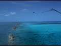 Sea Monsters Sea Monsters