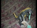 toy stop motion system of a down boom