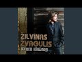 Žilvinas Žvagulis - Aš nenoriu, kad lietus pasibaigtų