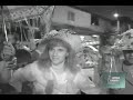 A FESTA DO CAVALO NÓIA - 
