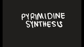 Pyrimidine Biosynthesis